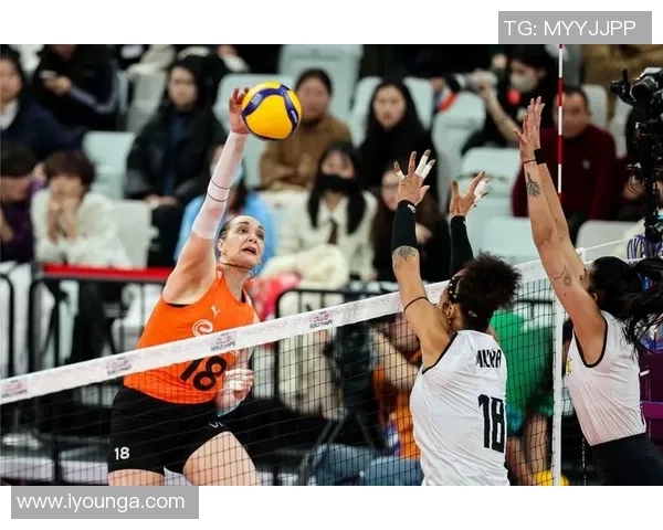 全国锦标赛回顾：上海排球队默契配合展现团队精神与竞技水平