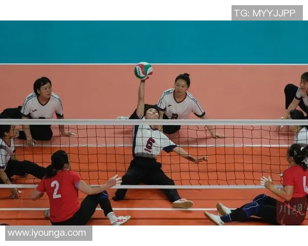 排球盛宴：深入解析杭州排球队的灵活战术与训练秘诀