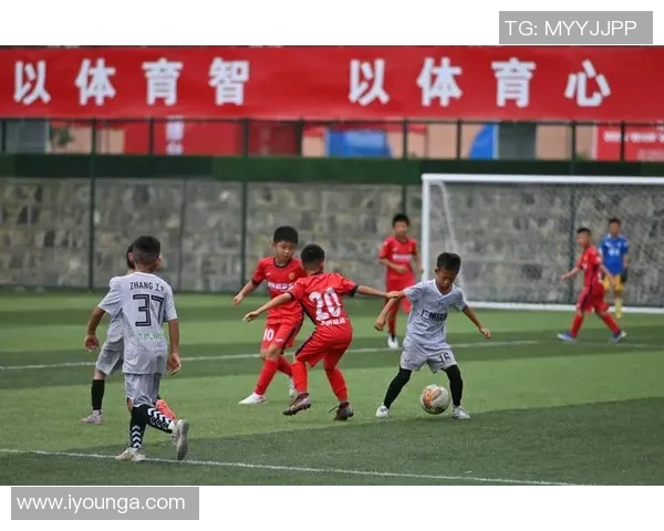 中国足球学校的种类与特色分析以及培养体系的探讨 中国足球学校的种类与特色分析以及培养体系的探讨