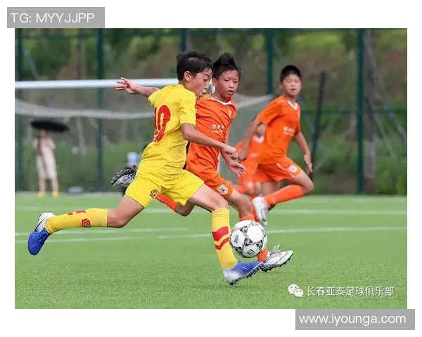 探索DFL足球的魅力与发展潜力,助力全球足球文化的传承与创新 探索DFL足球的魅力与发展潜力,助力全球足球文化的传承与创新